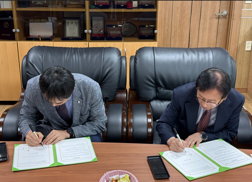 �³��̹��� ��������